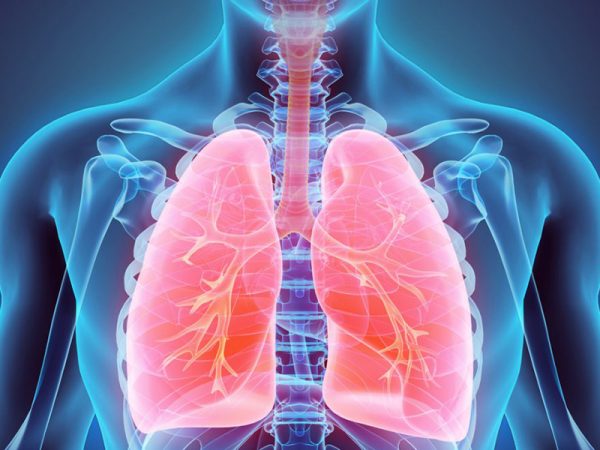 Internal-Medicine-(Respiratory) Internal-Medicine-(Respiratory)